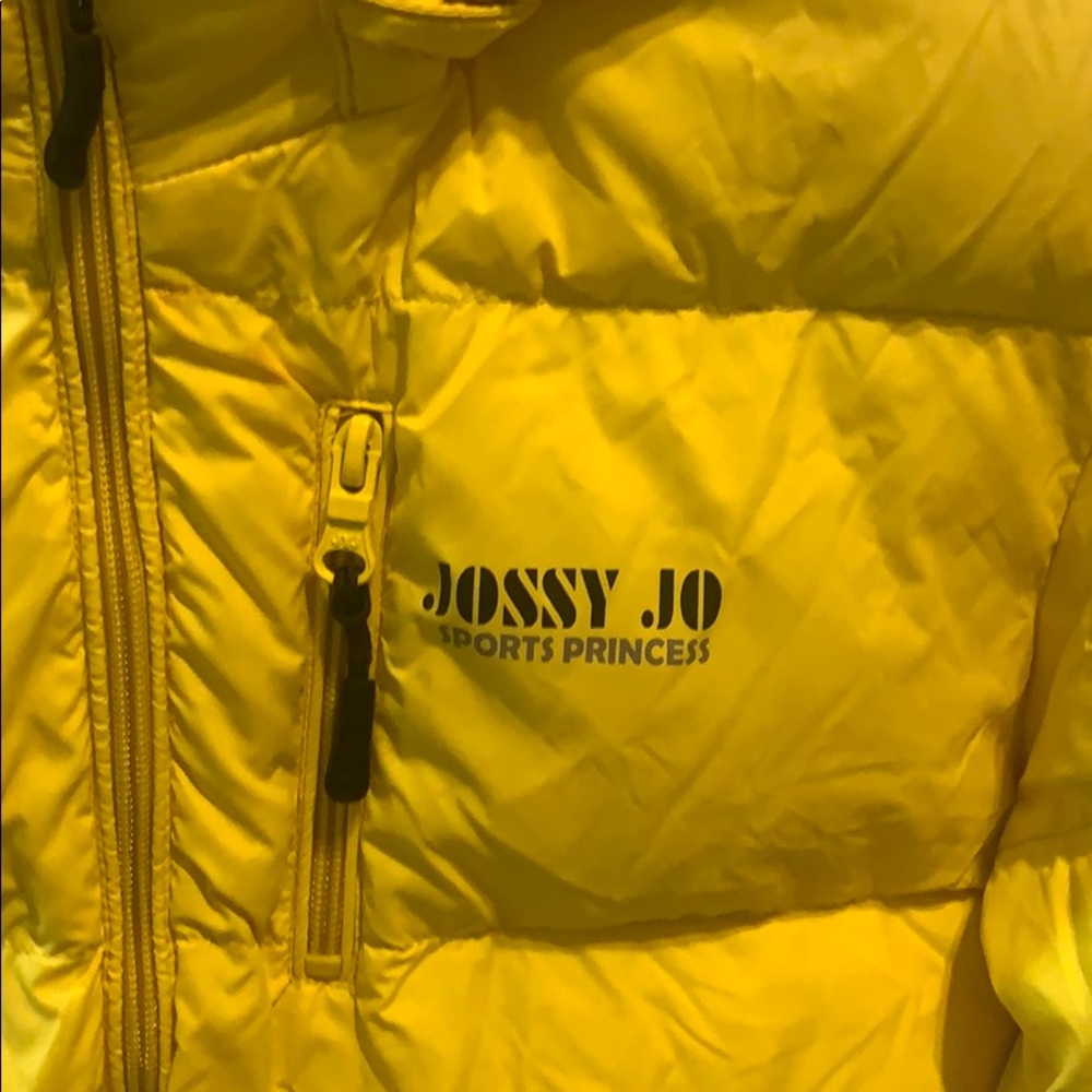 Yellow jacket - Picture 2 of 4